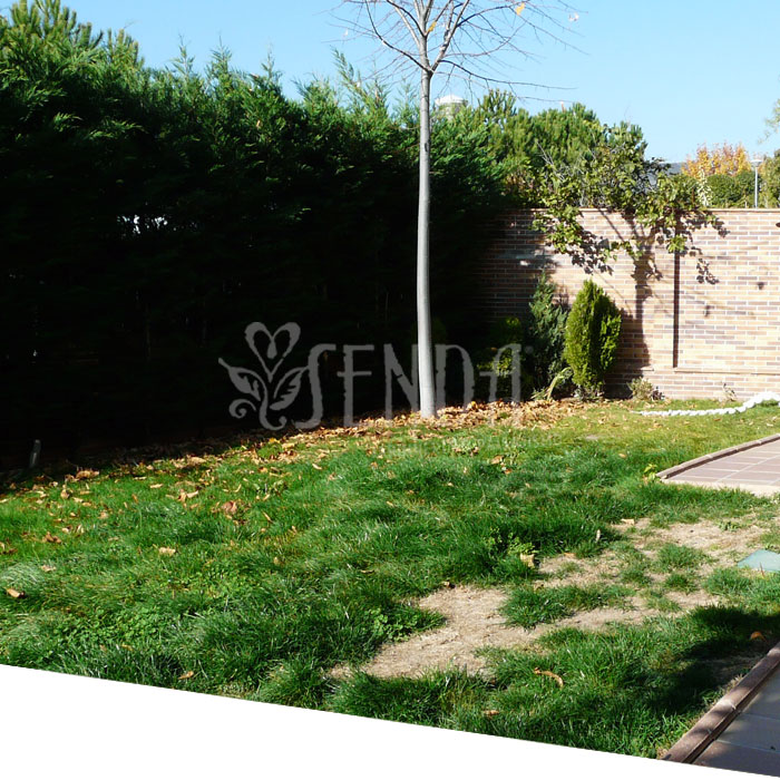 Jardineria 