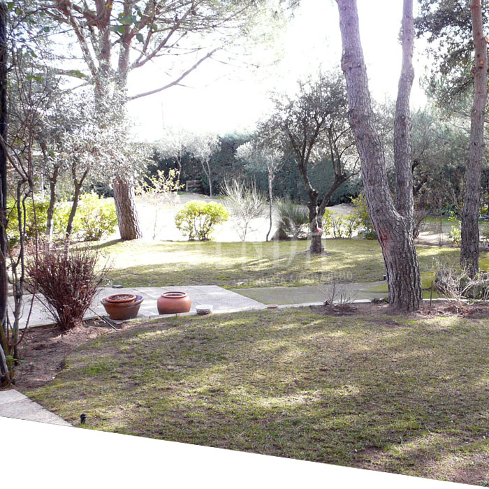 Jardineria chalet Villanueva (antes) Jardineria chalet Villanueva