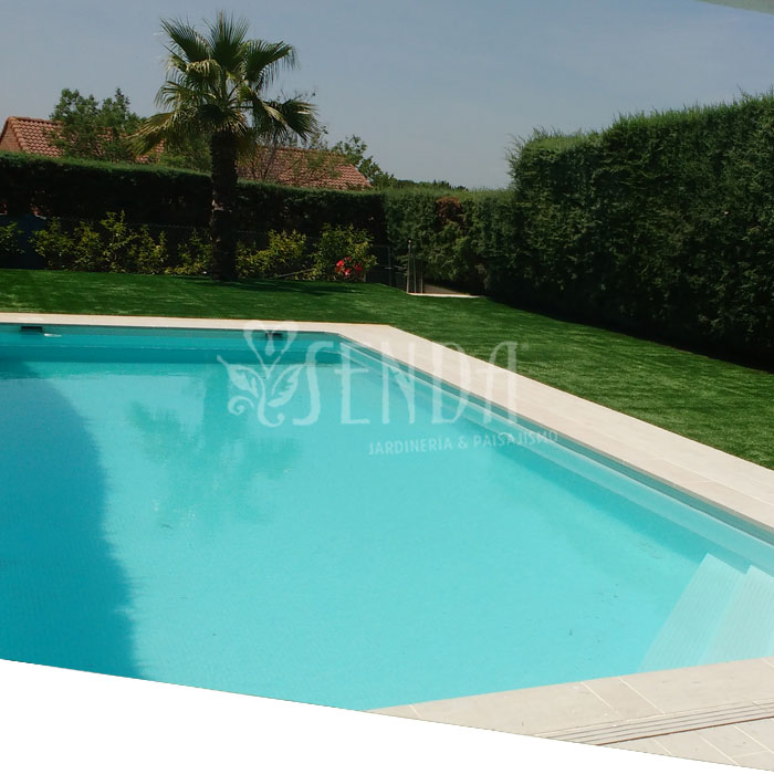 120126-jardineria-despues.jpg