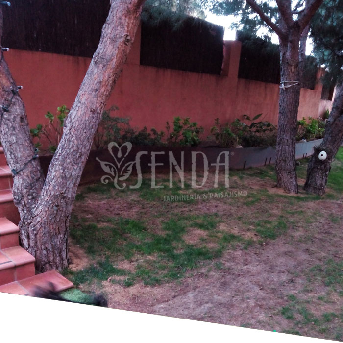 Jardineria Jardineria