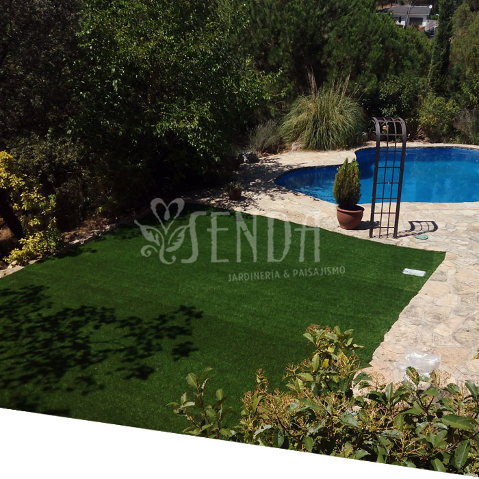 231225-jardineria-despues.jpg