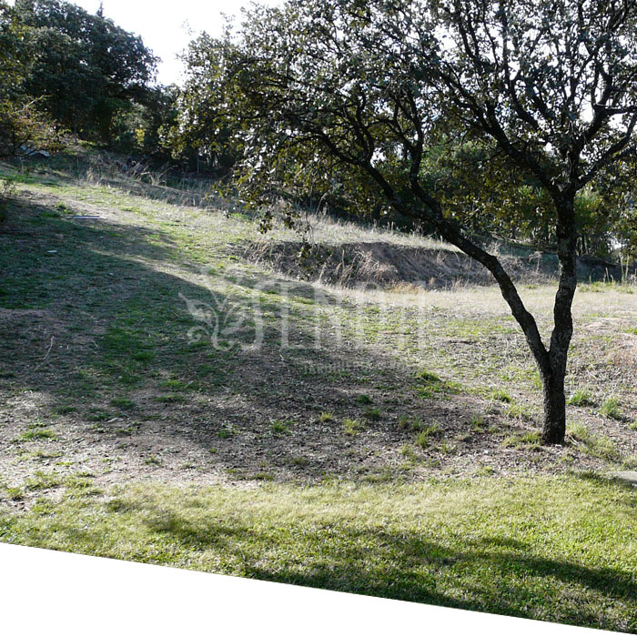 Espacio ajardinado (antes) Jardineria