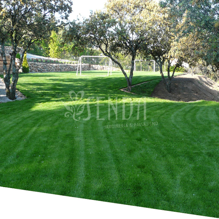 Espacio ajardinado (despues) Jardineria