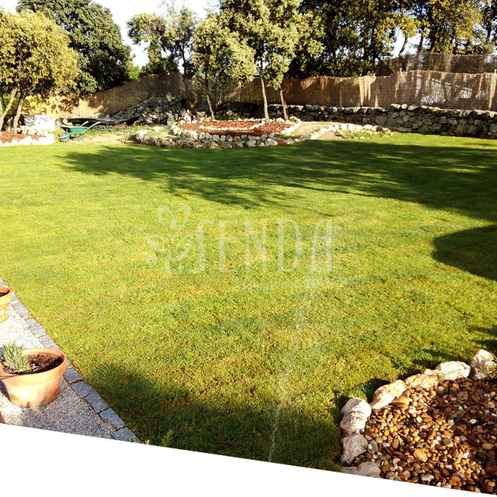 161225-jardineria-despues.jpg