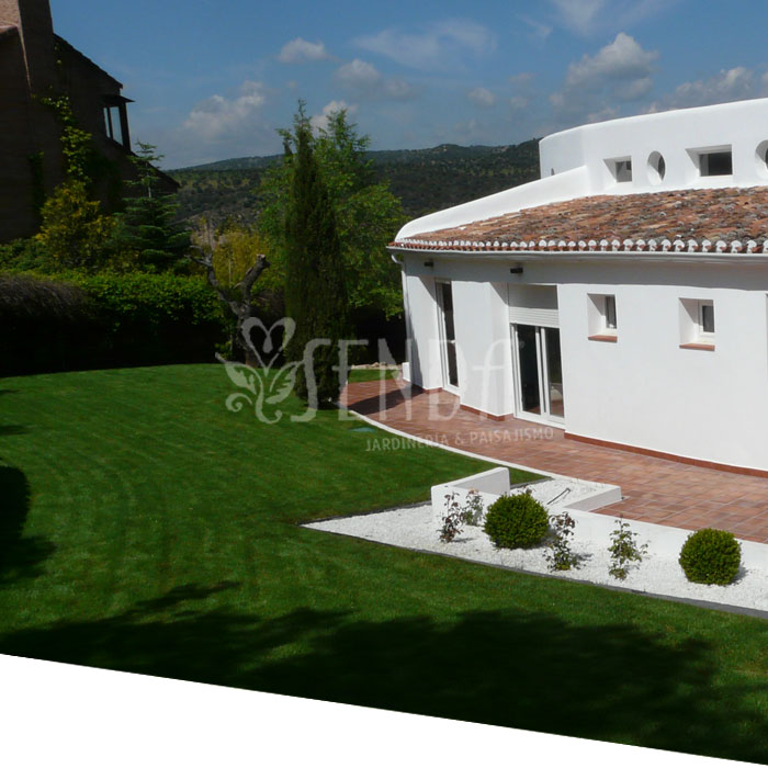 Espacio ajardinado (despues) Jardineria