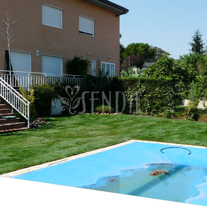 070726-jardineria-despues.jpg