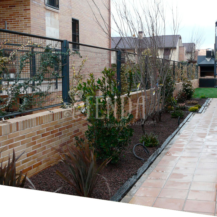 291025-paisajismo-despues.jpg