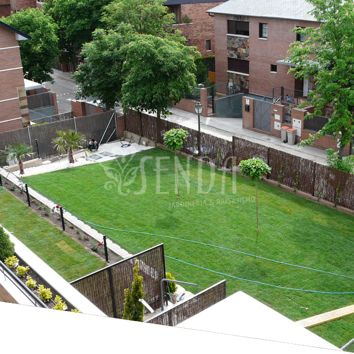 260526-jardineria-despues.jpg