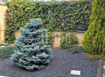 Paisajismo con zonas verdes y áreas estanciales