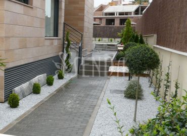 Paisajismo con grava blanca, palmera ornamental y recorrido estructurado